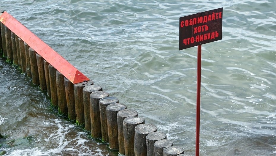    Автор фото: Сергей Петров / NEWS.ru / ТАСС