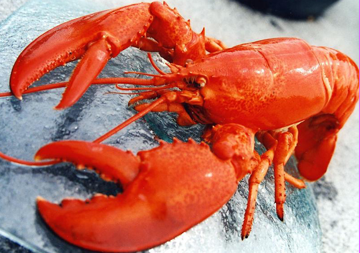 Фото: otvet.mail.ru