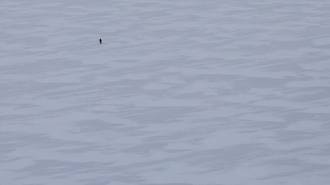    Фото: Artem Priakhin/Keystone Press Agency/Globallookpress