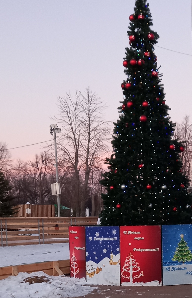 Ёлку в городском саду еще не убрали.