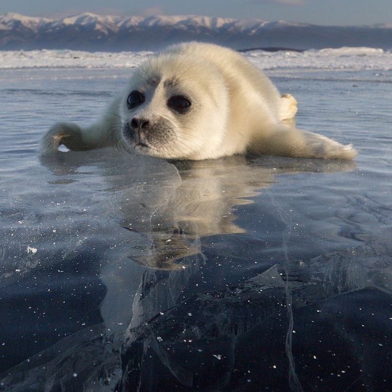 Автор фото: 📷 Алексей Трофимов