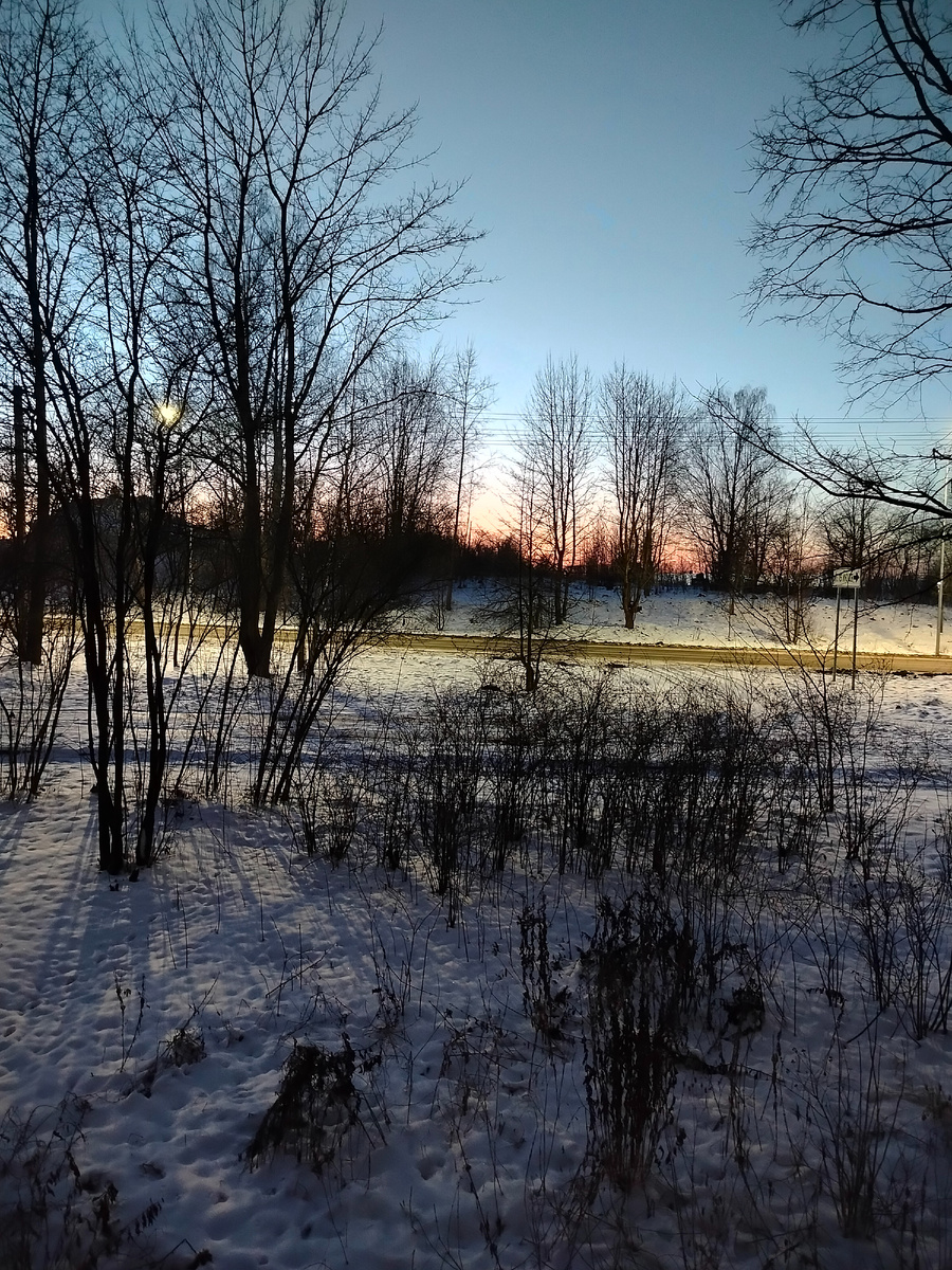 Вечер за нашим окном