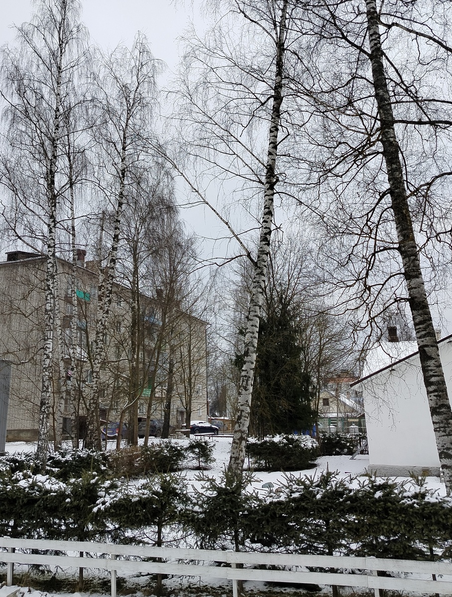 Немного нашей Опочки