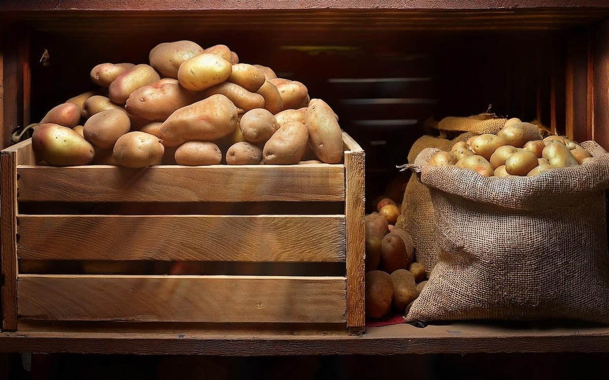 Картошка останется свежей до следующего урожая: правила хранения от опытных огородников / Фото: Pogovorim.by