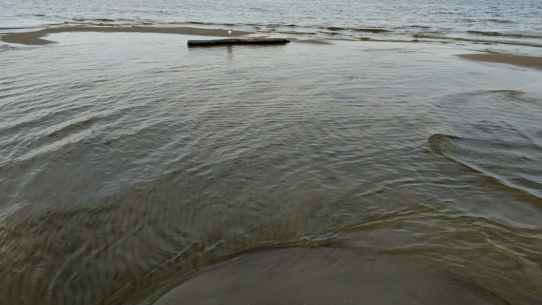    Victor Lisitsyn/Globallookpress