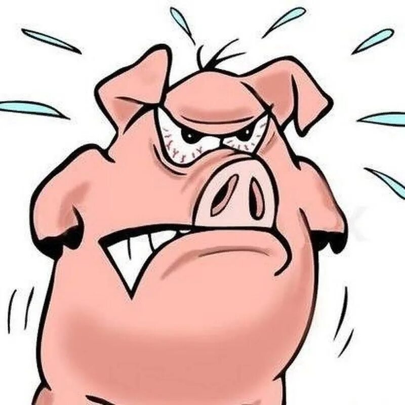 Картинка из свободного доступа 