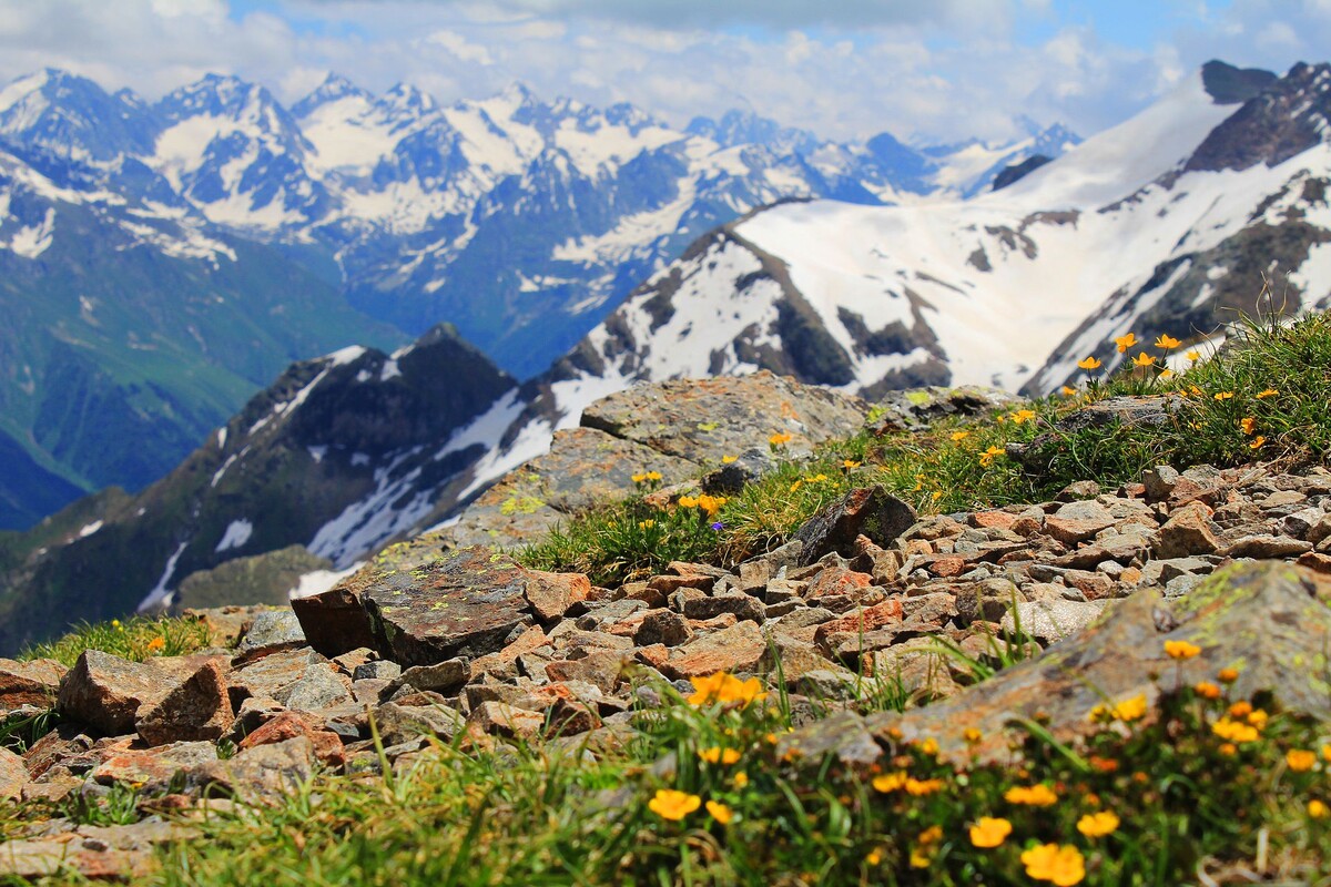 Источник: wikipedia.org Автор: Nina Zhavoronkova CC BY-SA 4.0