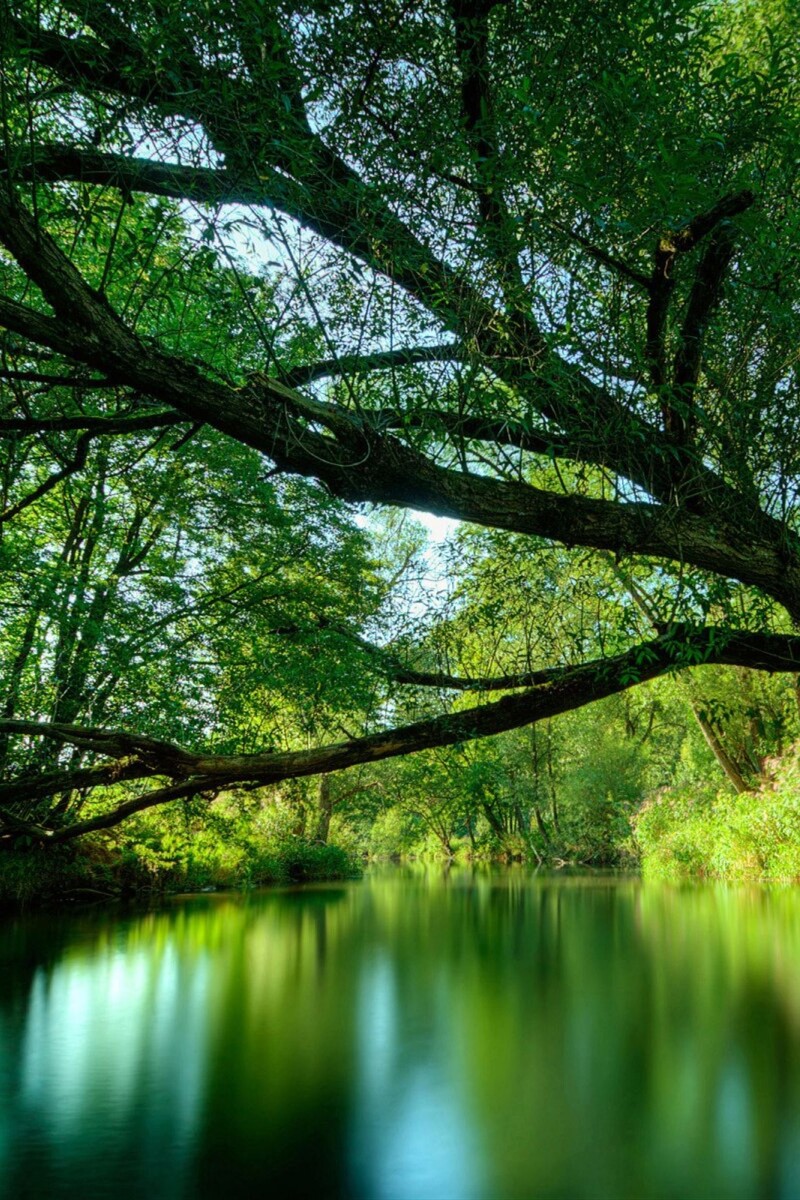 Фото взято из интернета. 