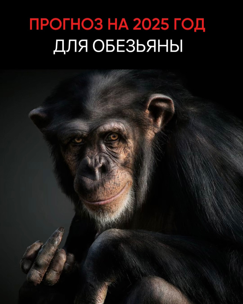 Индивидуальный прогноз по каждому элементу личности на 2025 год можно забрать здесь 👇