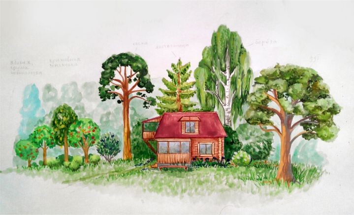 Обустройство Родового Поместья