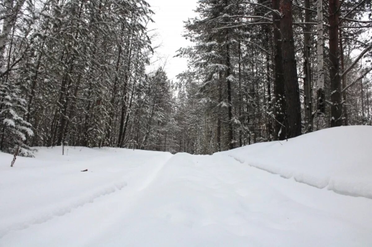    О важных запретах в день Иоанна Златоуста напомнили жителям Новосибирска