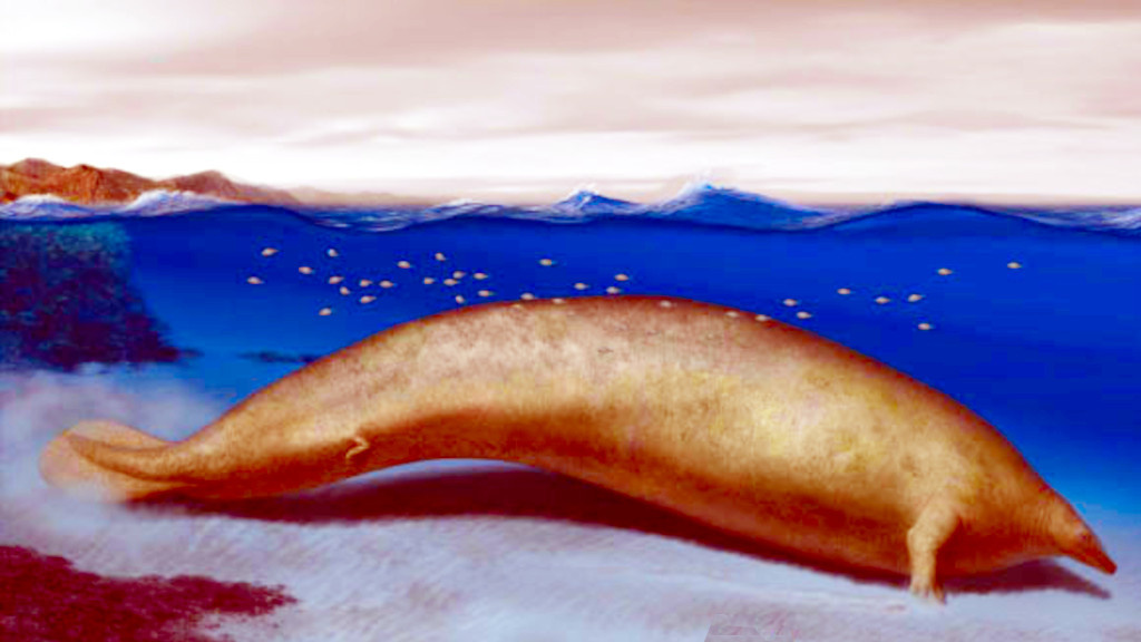 Согласно одной из первых реконструкций, выглядел перуцет примерно так.