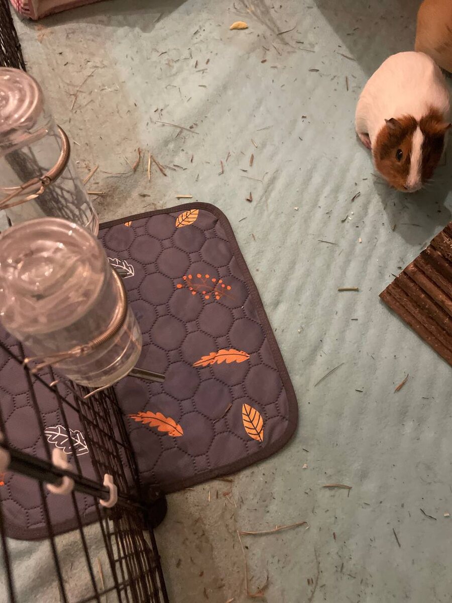 Комбинированная подстилка. Флис + пелёнки 