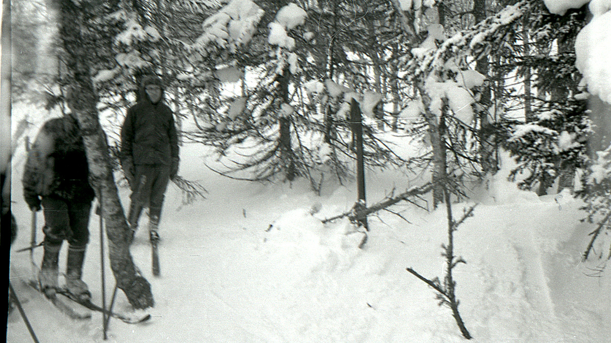 Лыжа в лабазе группы Игоря Дятлова.