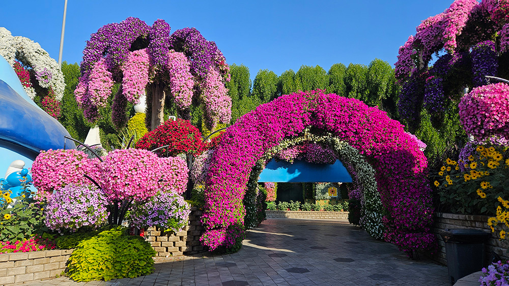 Dubai Miracle Garden. Фотография из личного архива @Галина Терпицкая,2025