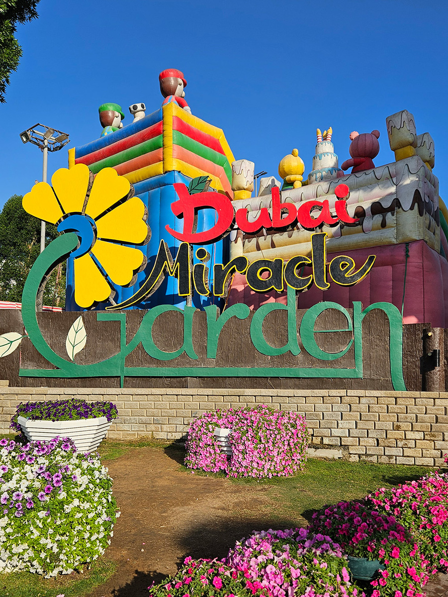 Dubai Miracle Garden. Фотография из личного архива @Галина Терпицкая,2025