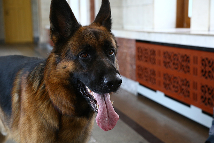    Фото из архива VN.ru