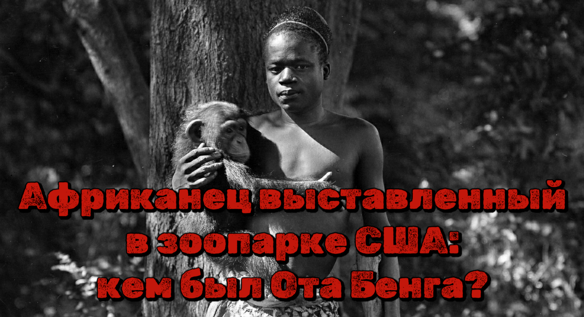 Африканец выставленный в зоопарке США: кем был Ота Бенга?