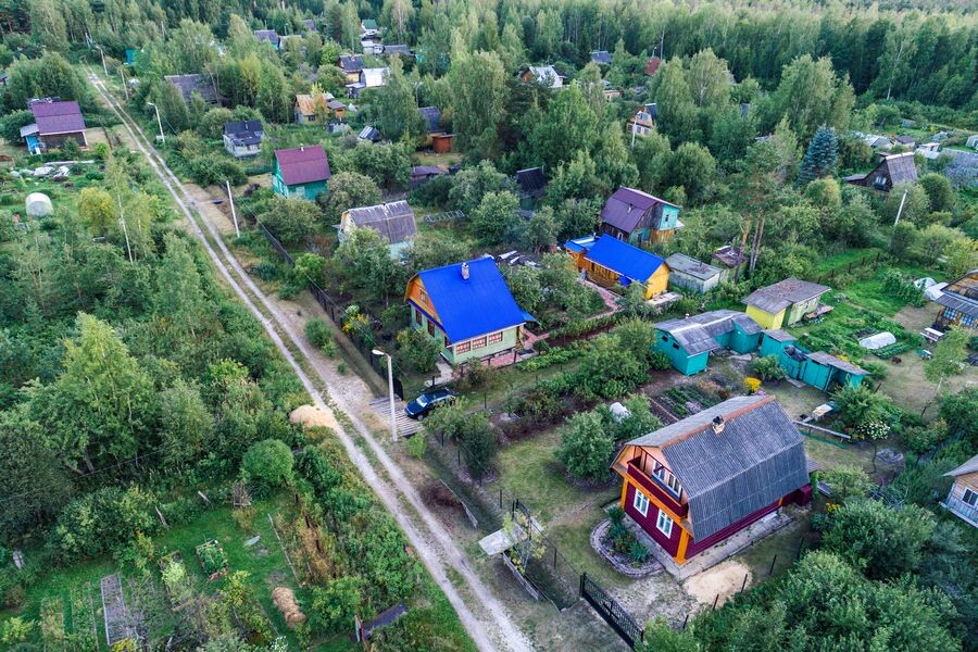     / Источник: © Альберт Гарнелис/ТАСС