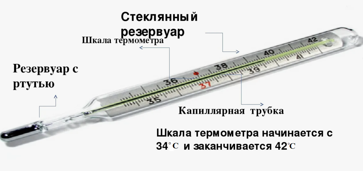 Схематичное строение ртутного термометра