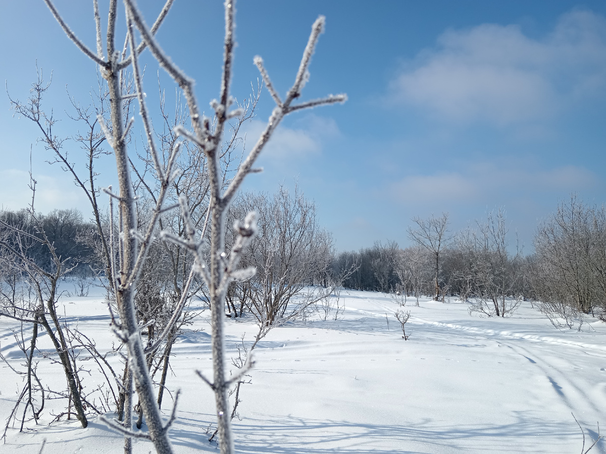 Урочище Верхние Елгуши, начало. Фото автора. Февраль 2025. 