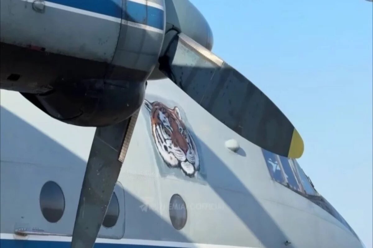    В аэропорту их встречали Губернатор края и почётный караул