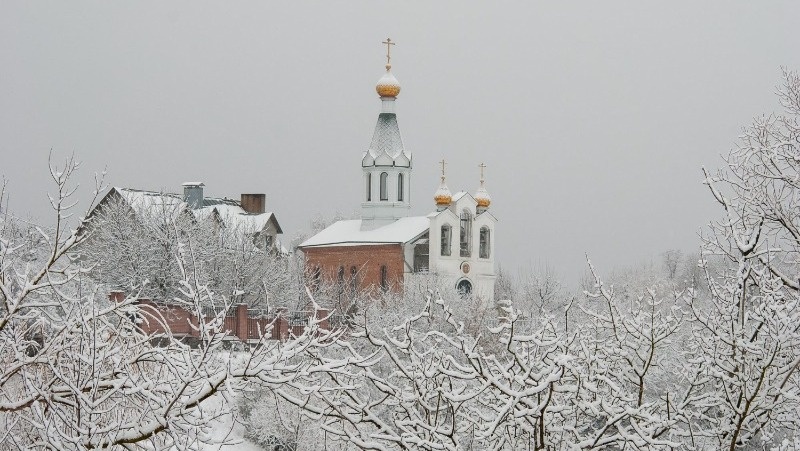 
Фото: @Savchenko Ruslan / freepik.com