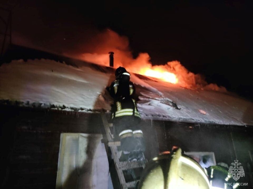    Пожары в Алтайском крае. Источник: МЧС Алтайского края