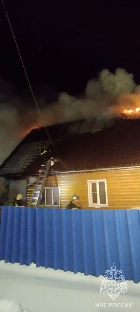    Пожары в Алтайском крае. Источник: МЧС Алтайского края