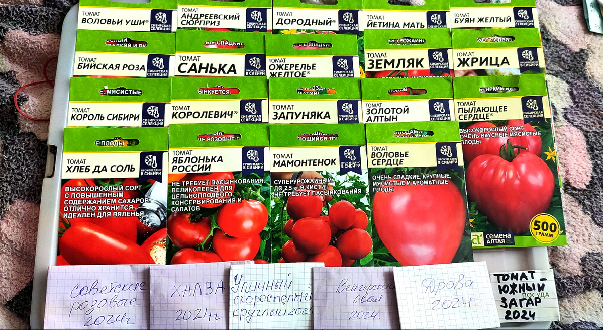 А это моя армада томатов 😁