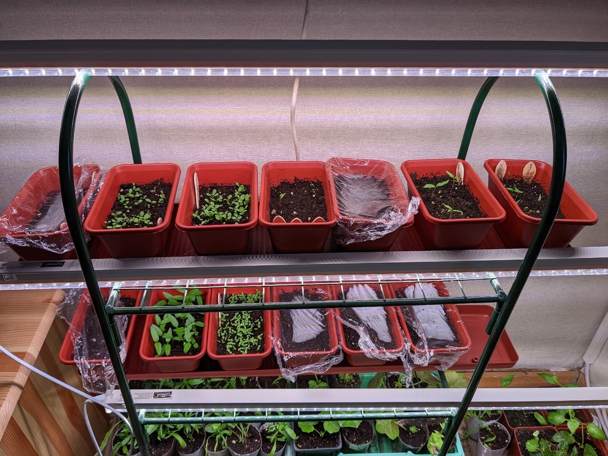 Как-то так...