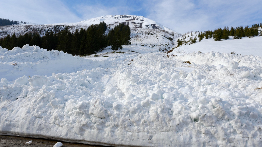    Фото: www.globallookpress.com/Dr. Wilfried Bahnmüller