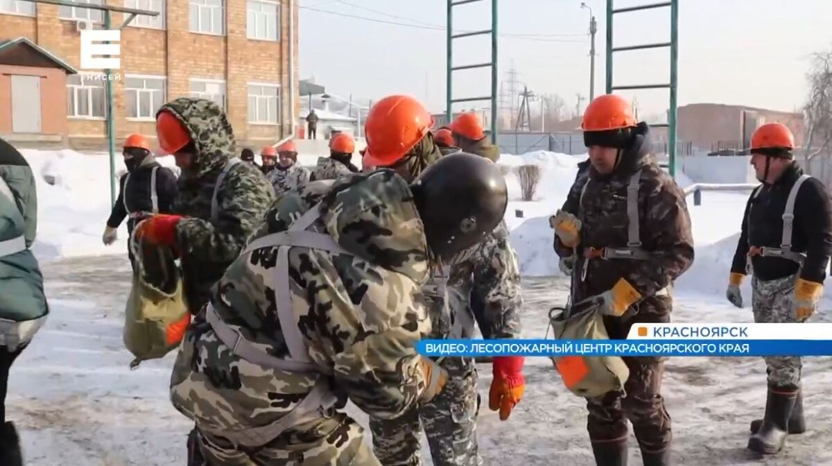     Жителей Красноярского края приглашают присоединиться к лесному спецназу