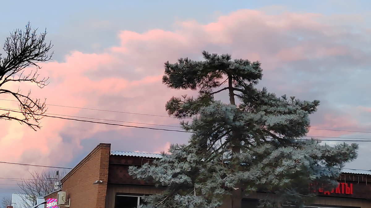 Стою на остановке... В лыжи обутый. Едут прекрасно.