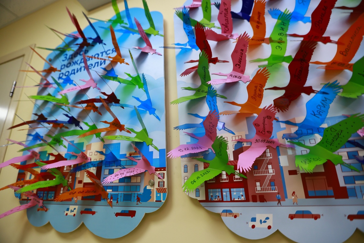 Автор фото: Павел Хацаюк / ИД «Вечерняя Казань»