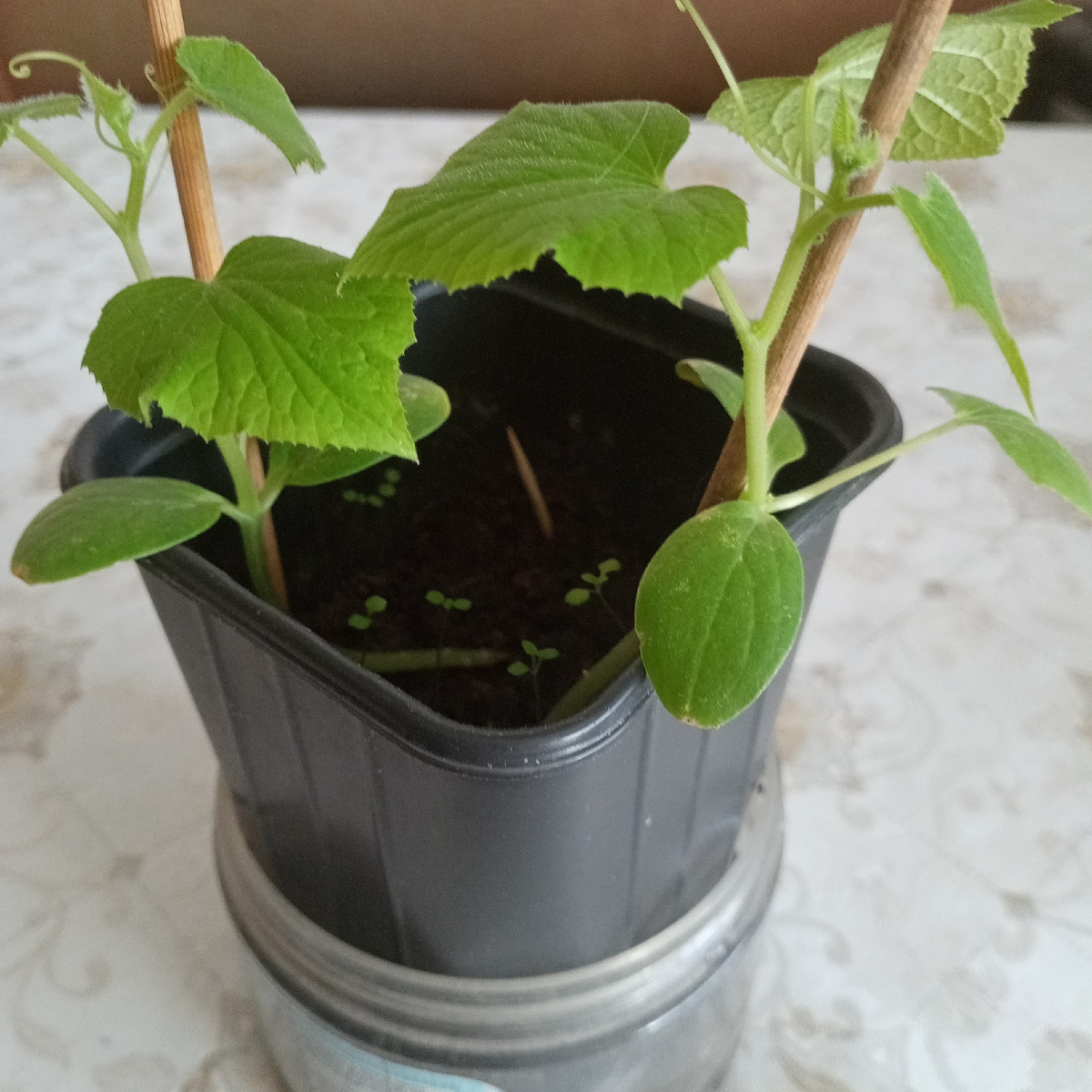 фото автора статьи