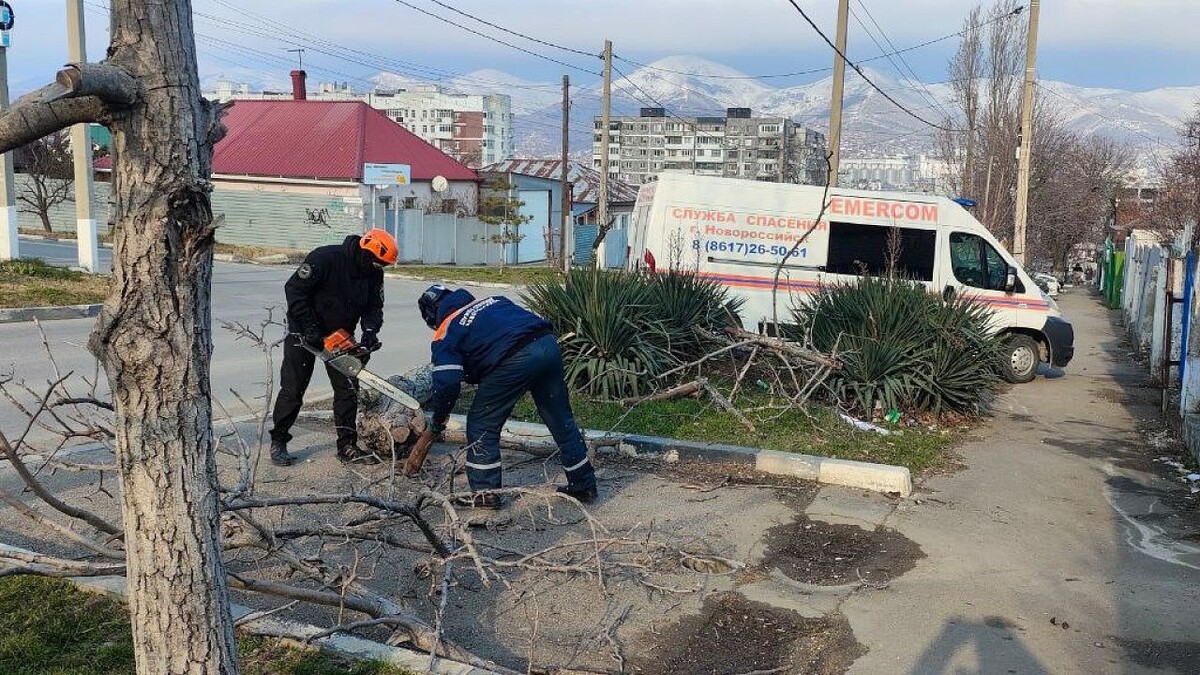    Фото: t.me/kravchenko_glava_nvrsk