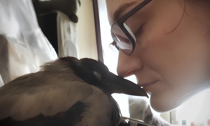    Птичек жалко