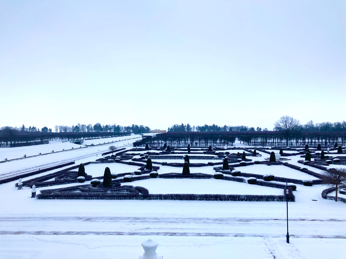 Вид с Дворцовой террасы на Балтийское море. Дворцово-парковый ансамбль Константиновского дворца. Фото автора.