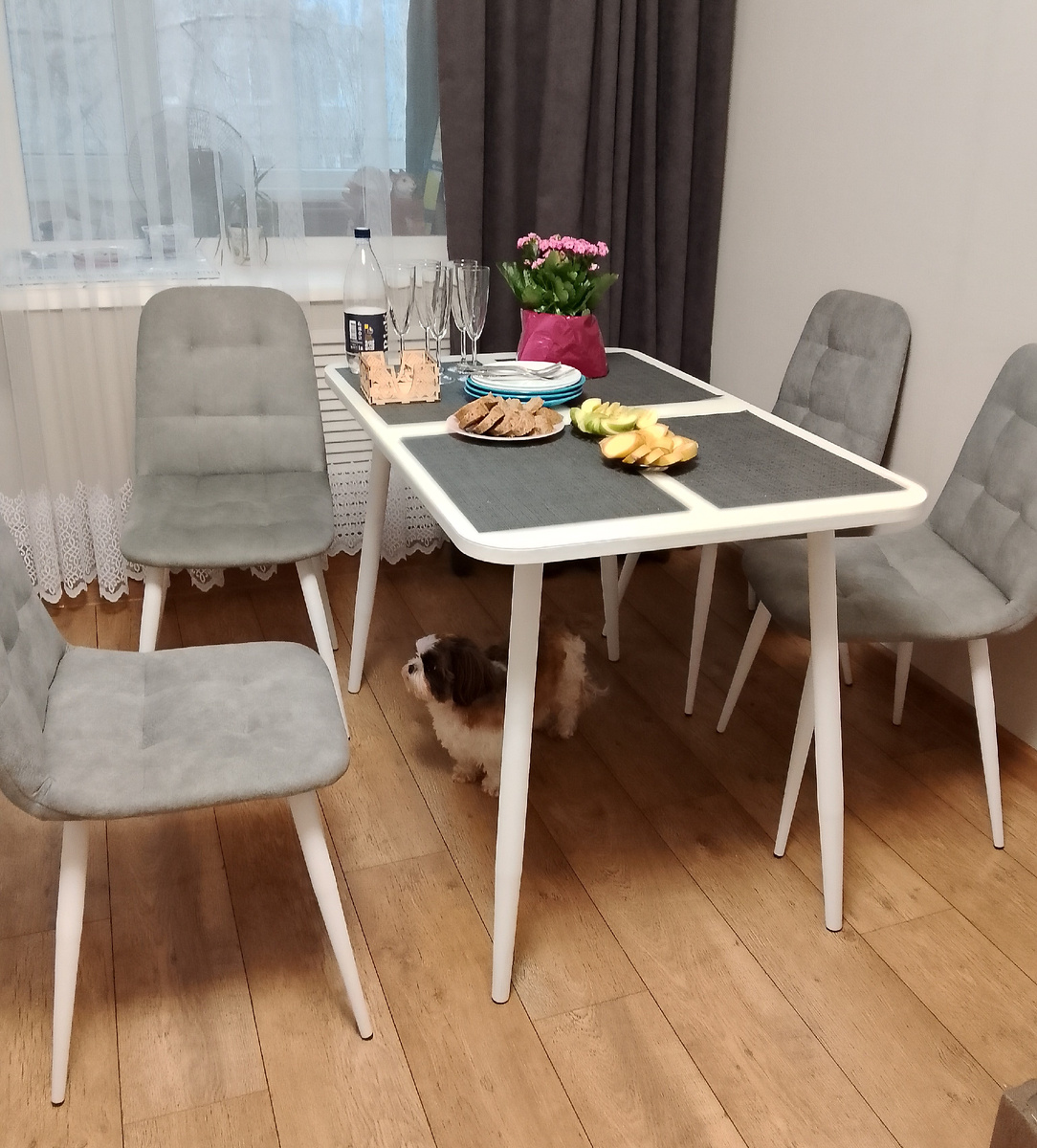 Хозяйский пёсель в ожидании "заседания" клуба, фото автора