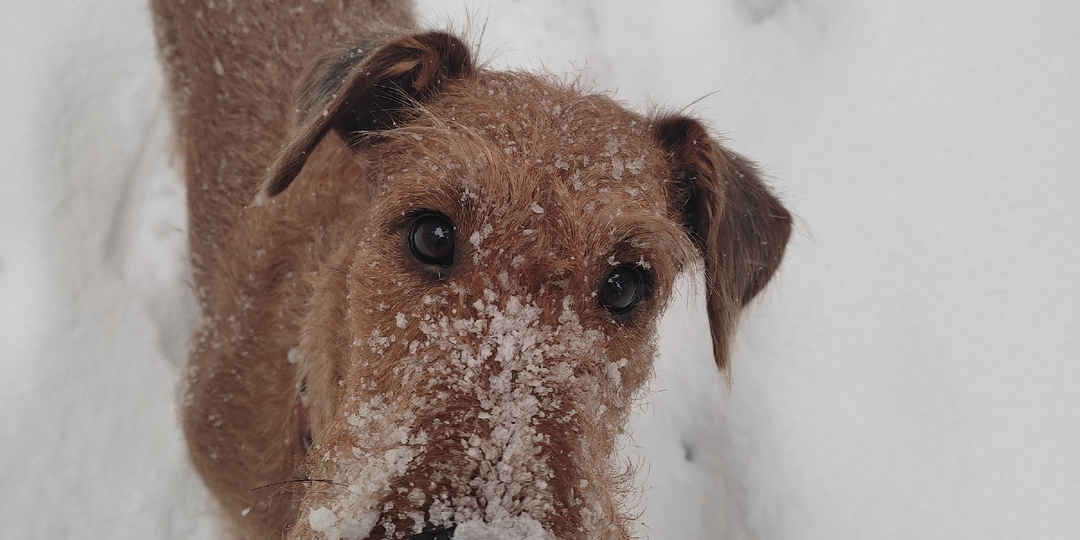 И пусть сбываются мечты!