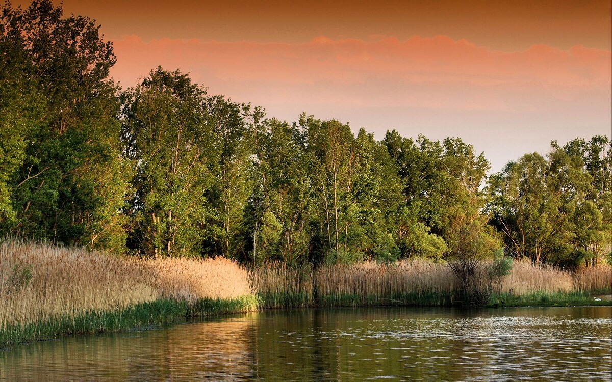 Яндекс.Картинки