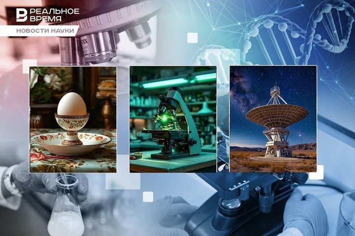 Фото: Людмила Губаева