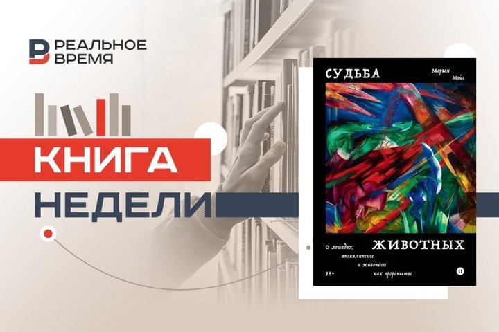 Фото: Реальное время