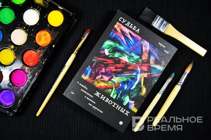 Екатерина Петрова / realnoevremya.ru