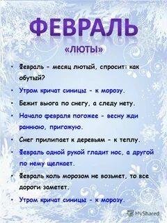 Яндекс Дзен.