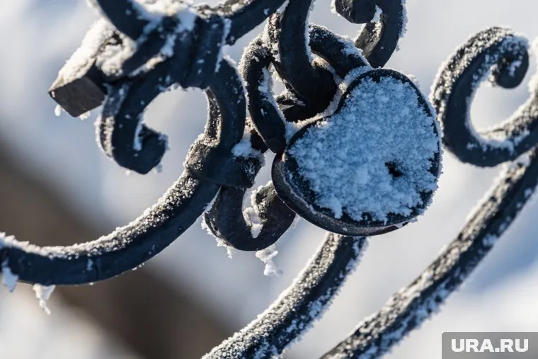 Днем в Москве 10 февраля ожидается до -3 градусов
Фото: Илья Московец © URA.RU