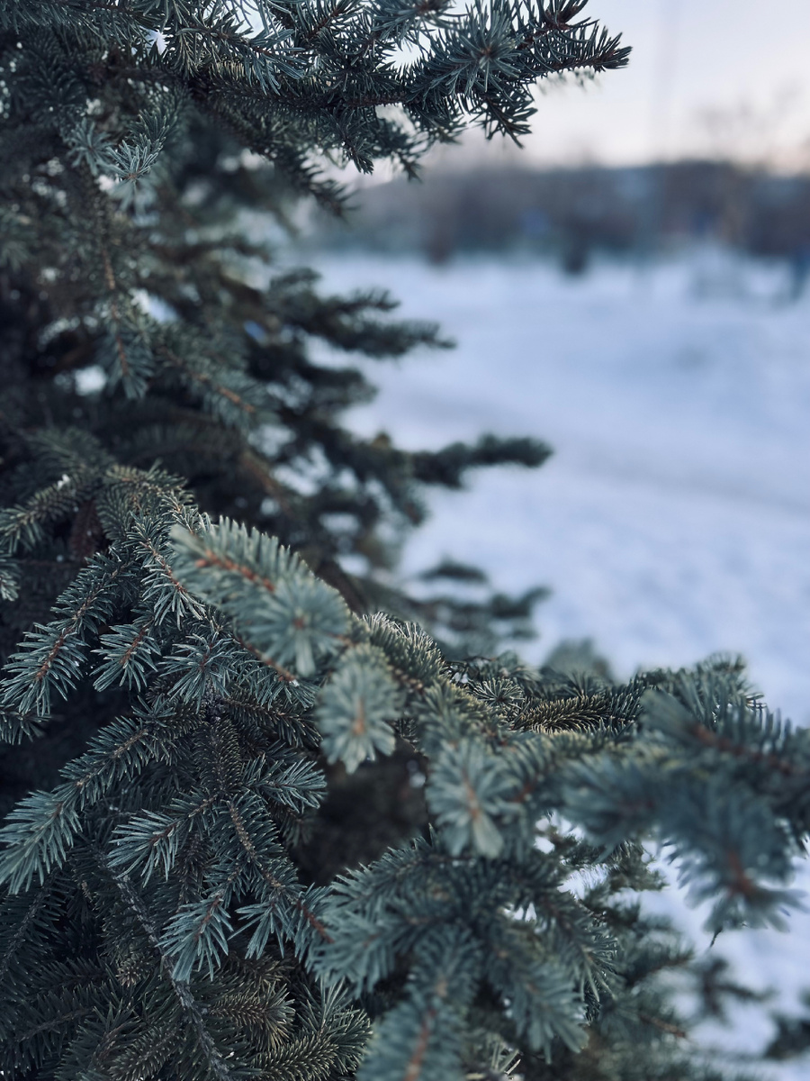 Фотография автора канала.