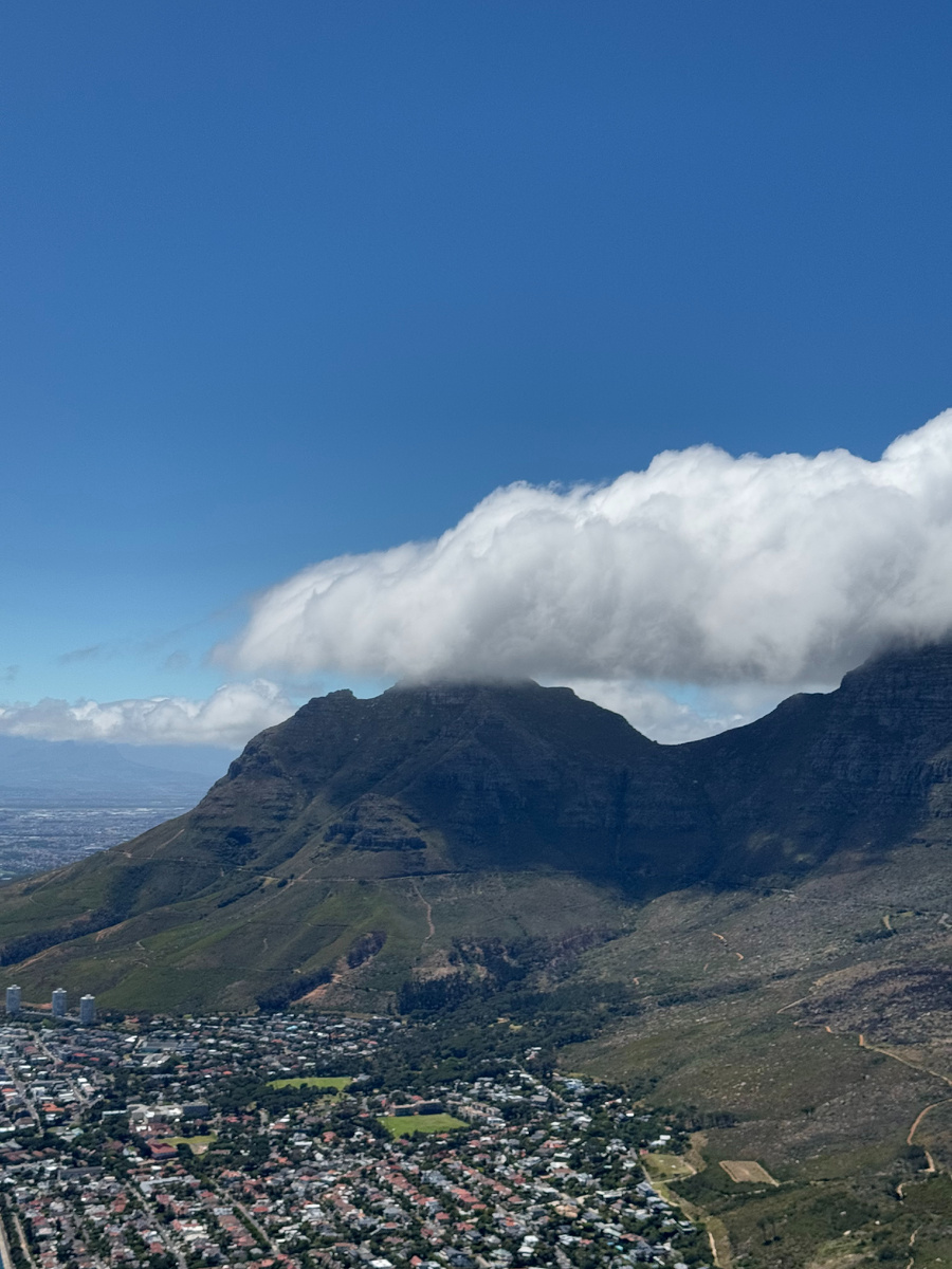 Вид с горы Lions Head на Devils Peak