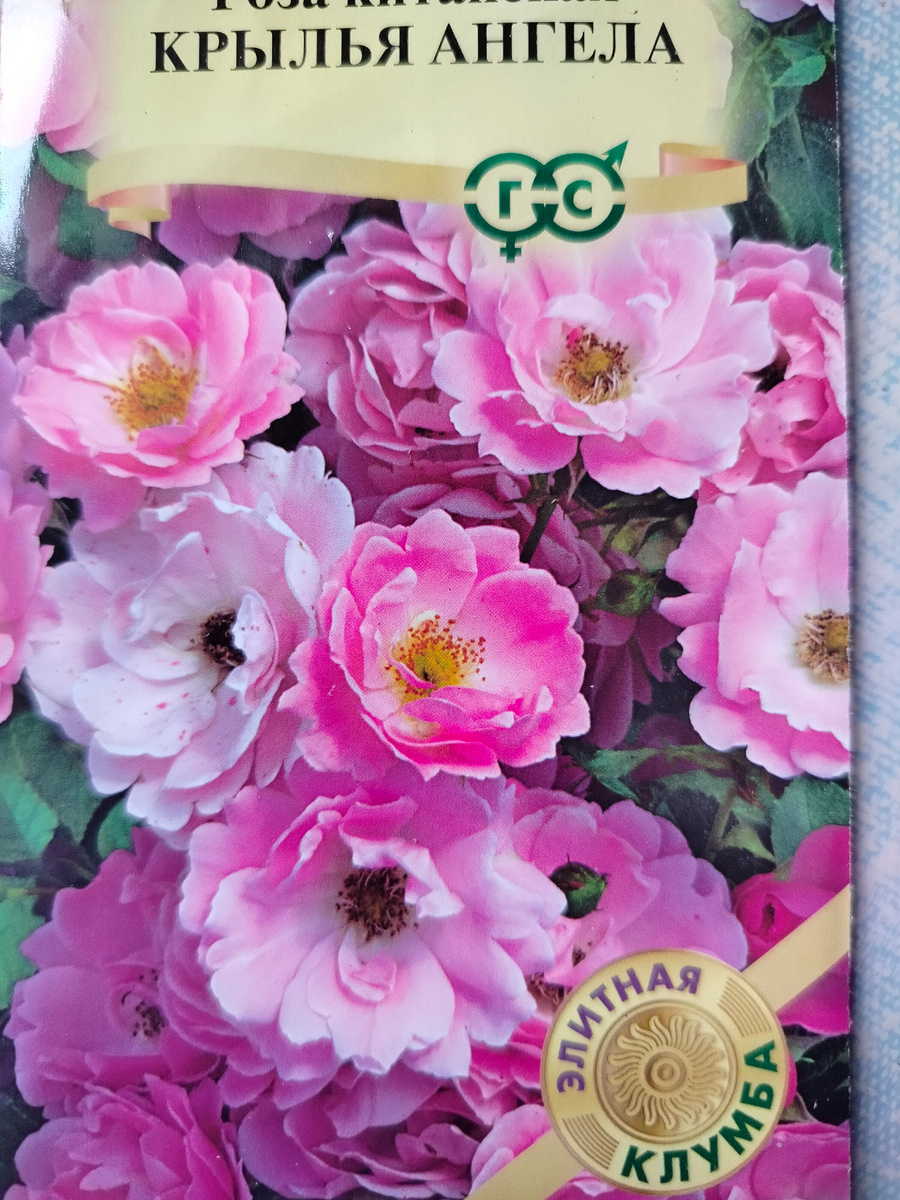 Жду, когда у меня такое же вырастет.